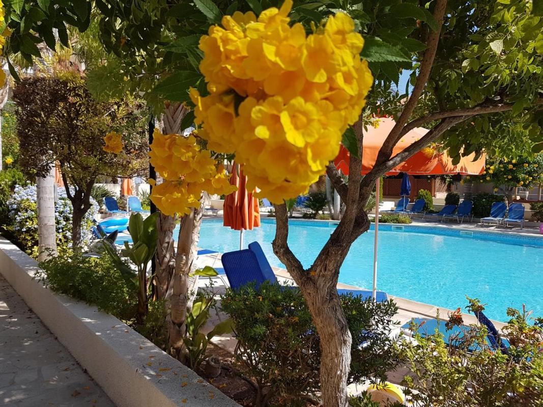 Villa Ilios In Kato Paphos Exteriör bild